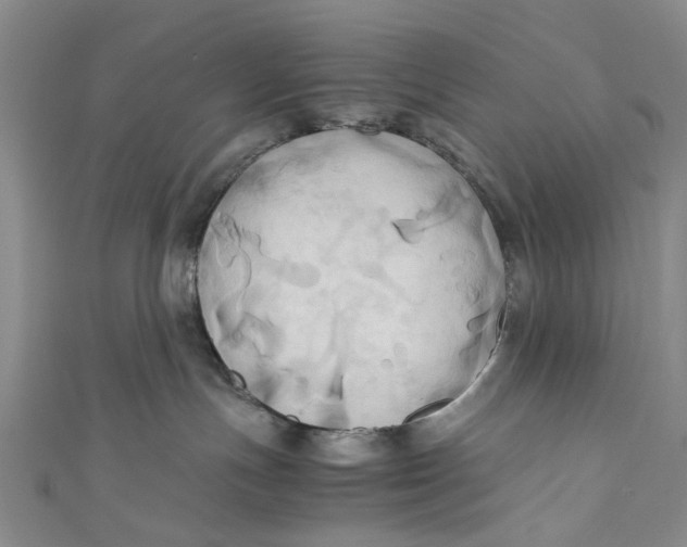 X0000110970191200907101356