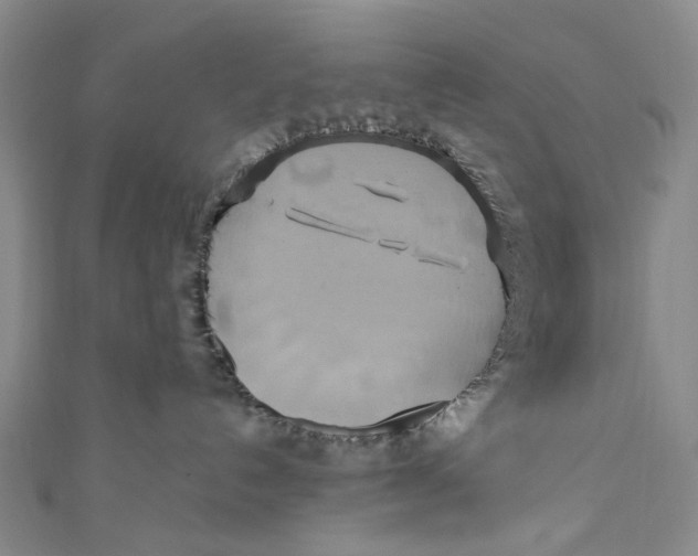 X0000110970192200907101356