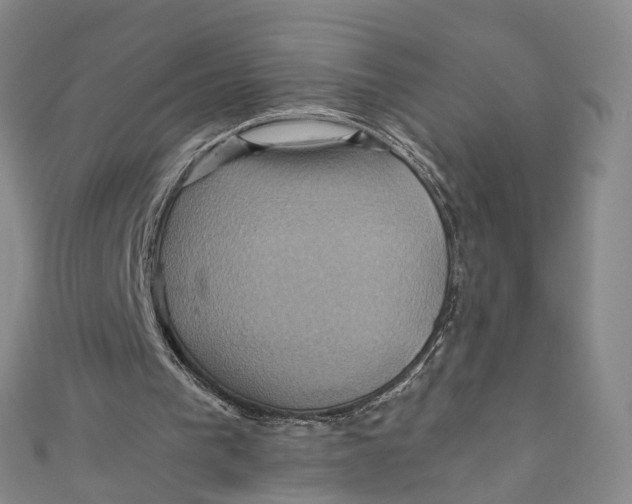 X0000110970193200907101355
