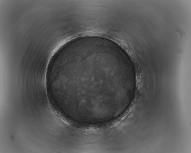 X0000110970196200907101355