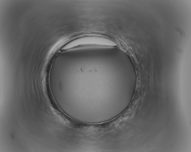 X0000110970197200907101355