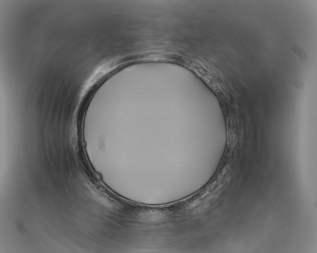 X0000110970198200907101355