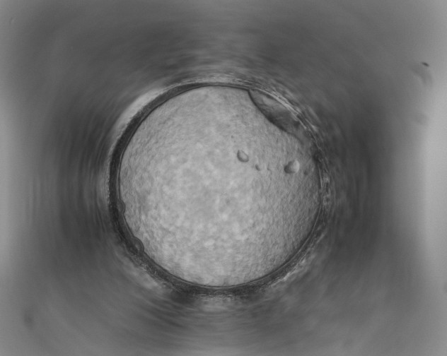 X0000110970200200907101355