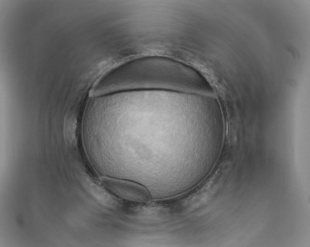 X0000110970201200907101355