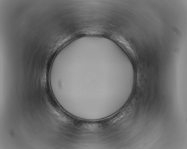 X0000110970202200907101355