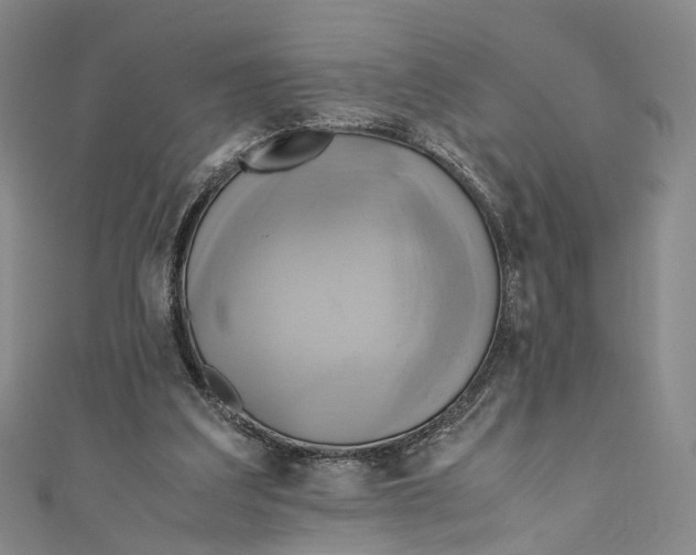 X0000110970203200907101355