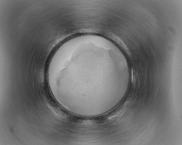 X0000110970204200907101355