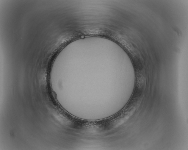X0000110970207200907101355