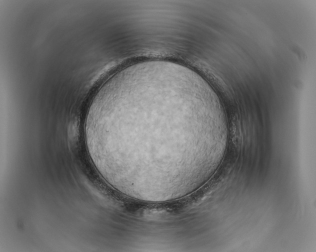 X0000110970208200907101355