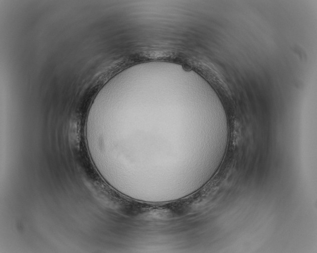 X0000110970210200907101355