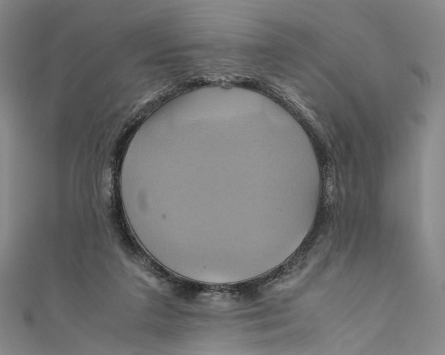 X0000110970211200907101355