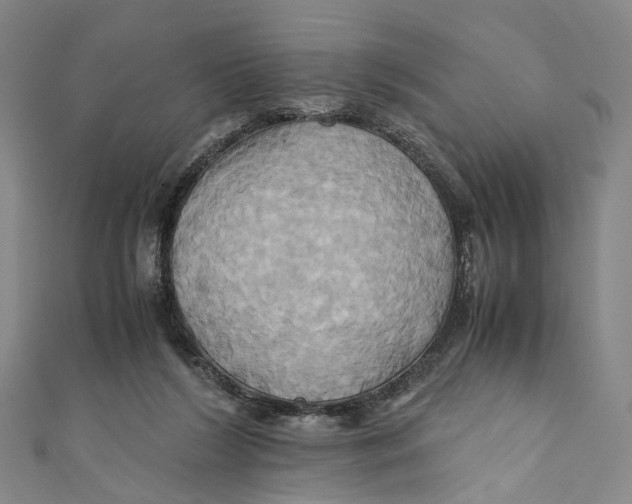 X0000110970212200907101355