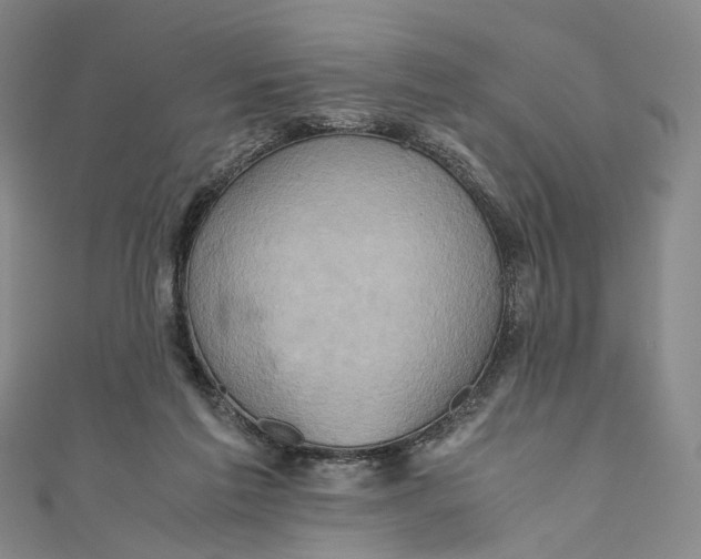 X0000110970213200907101355