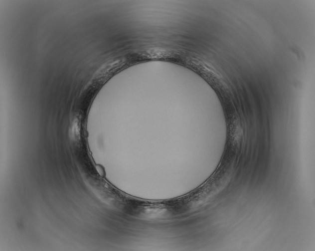 X0000110970214200907101355
