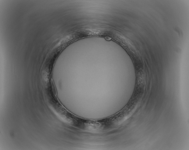 X0000110970215200907101355