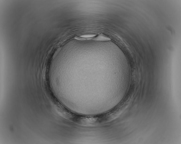 X0000110970217200907101355
