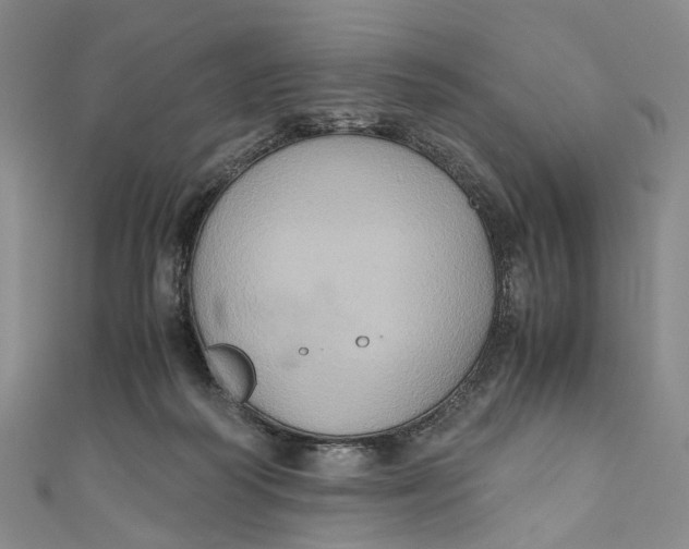 X0000110970218200907101355