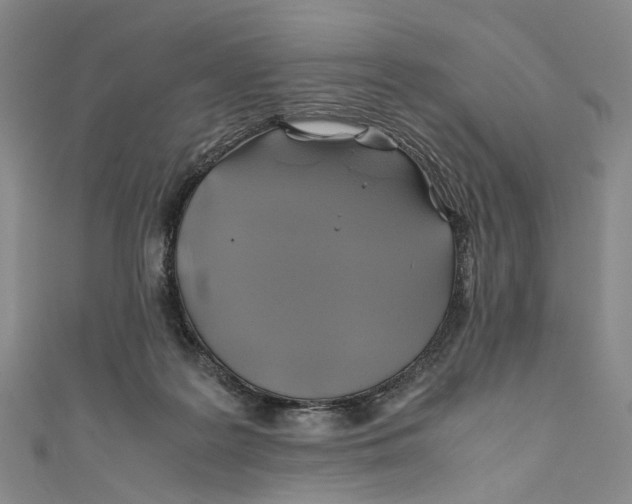 X0000110970219200907101355