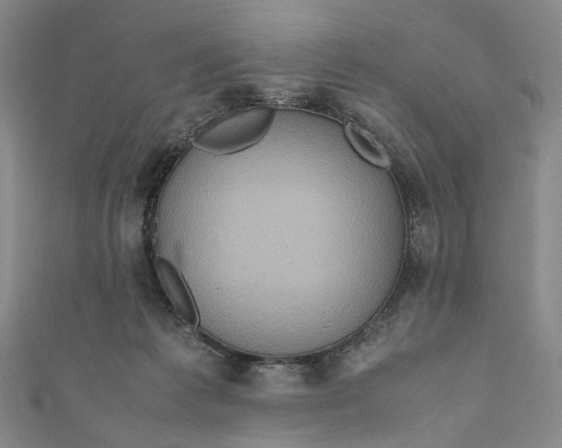 X0000110970221200907101355