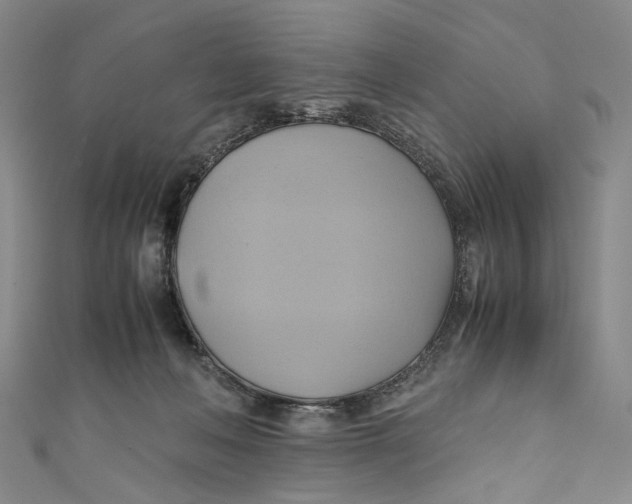 X0000110970222200907101355