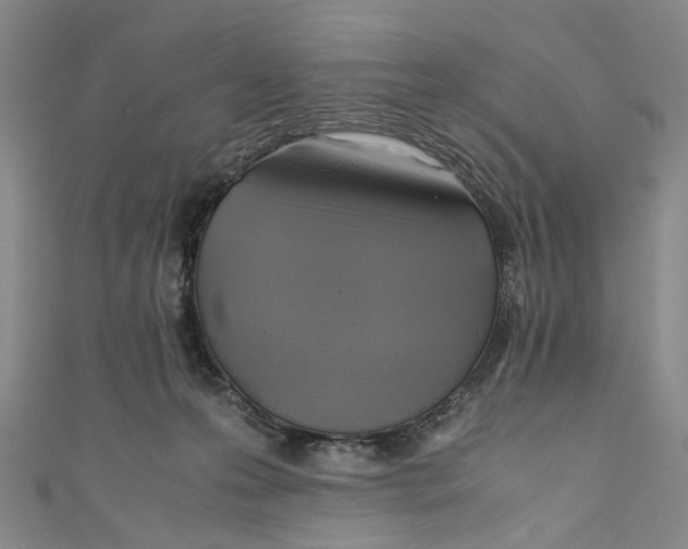X0000110970223200907101355