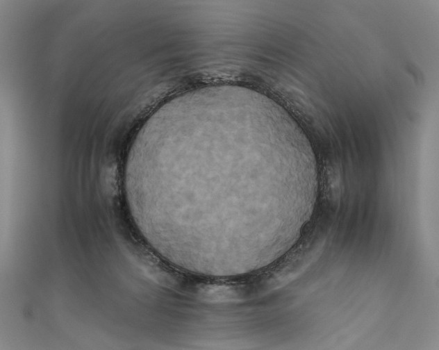X0000110970224200907101355
