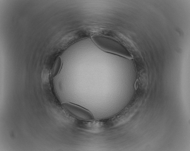 X0000110970225200907101355