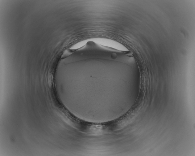 X0000110970227200907101355