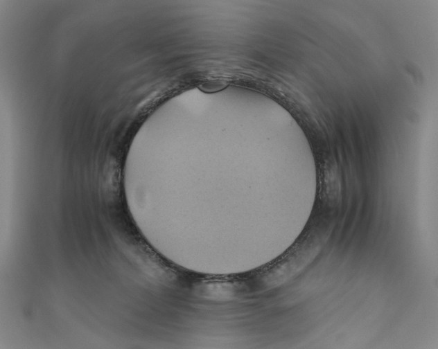 X0000110970228200907101355