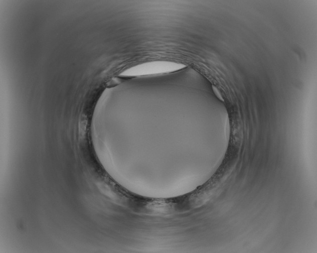 X0000110970231200907101355