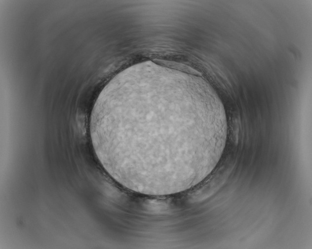 X0000110970232200907101355