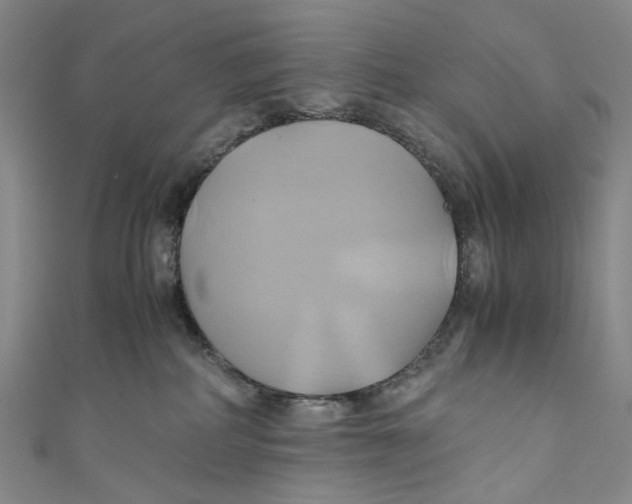 X0000110970234200907101355