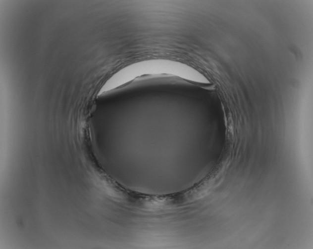 X0000110970235200907101355