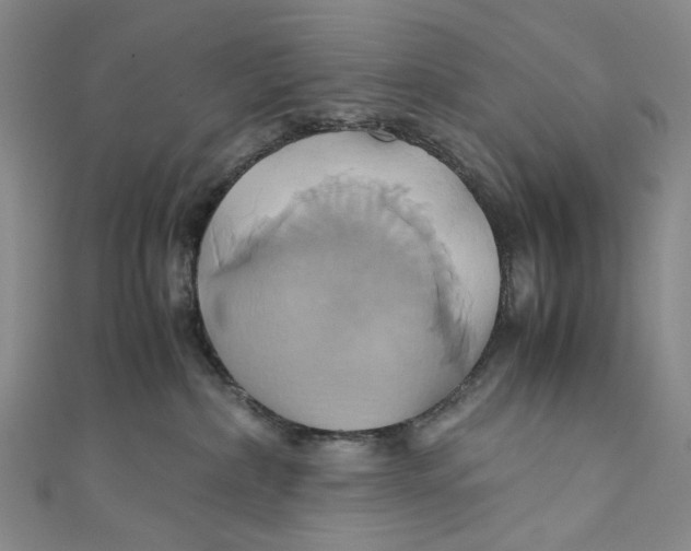 X0000110970236200907101355