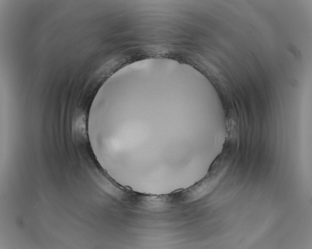 X0000110970238200907101355
