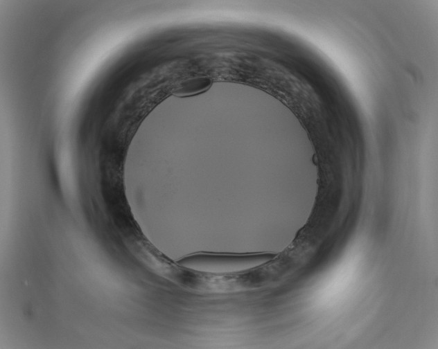 X0000110970239200907101355