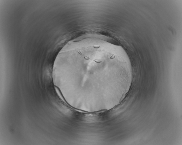 X0000110970240200907101355