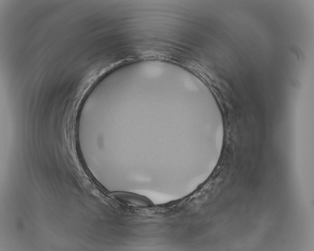 X0000110970241200907101354