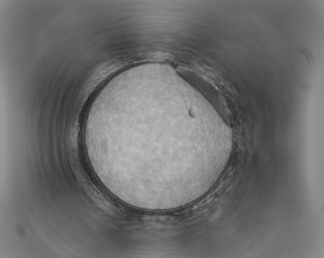 X0000110970242200907101354