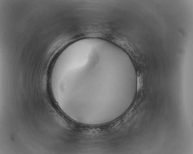 X0000110970243200907101354