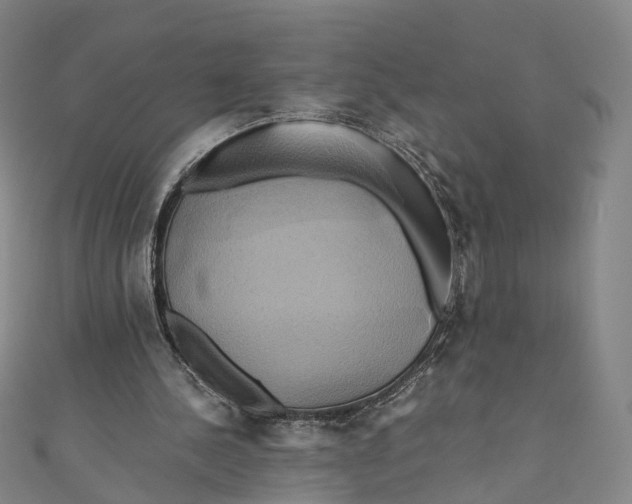 X0000110970244200907101354