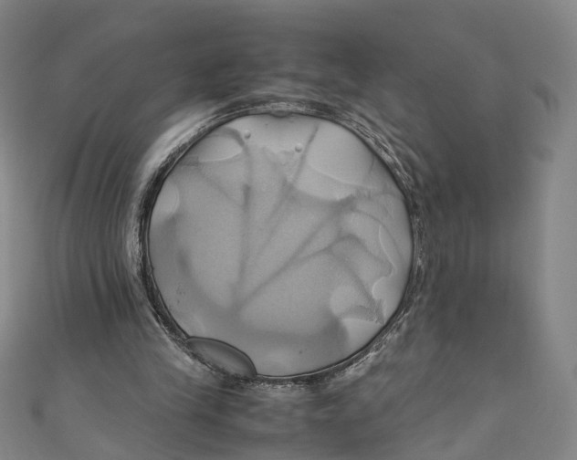 X0000110970245200907101354