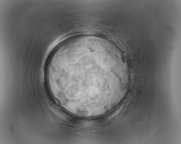 X0000110970246200907101354