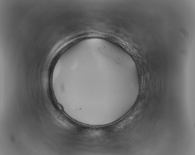 X0000110970247200907101354