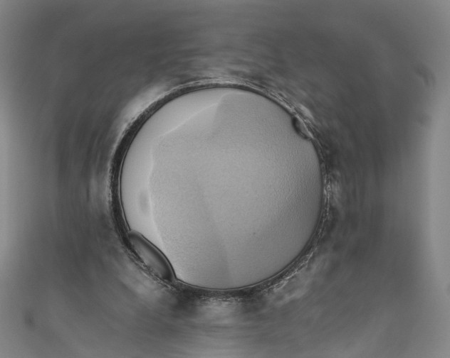 X0000110970248200907101354