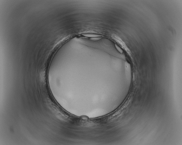 X0000110970249200907101354