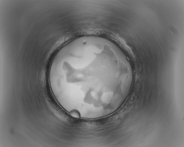 X0000110970250200907101354