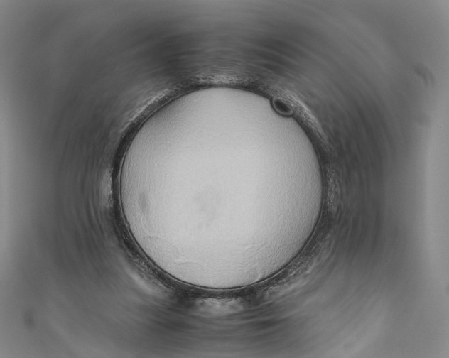X0000110970251200907101354