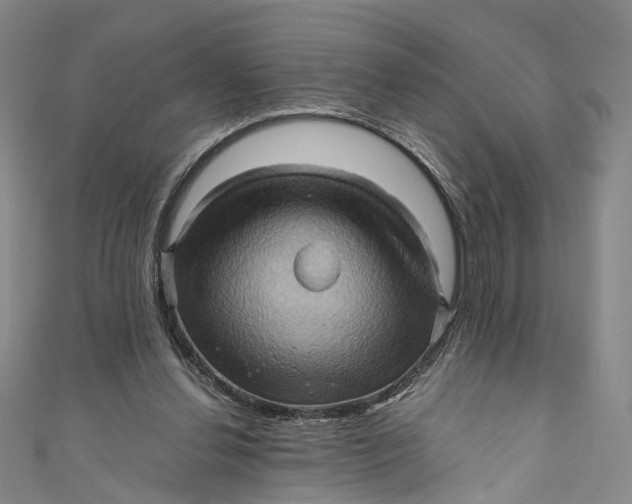 X0000110970252200907101354