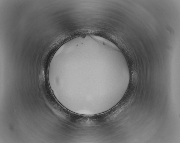 X0000110970254200907101354